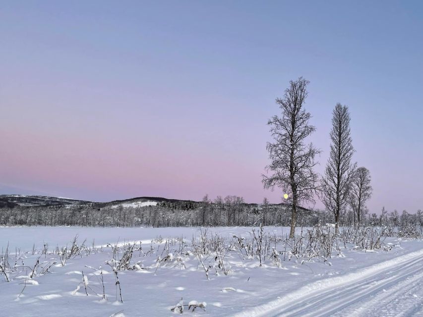 From Tromso: Eco Luxury Snowmobile Adventure to Lyngen Alps - Electric snowmobile riding: quieter Arctic, still thrilling