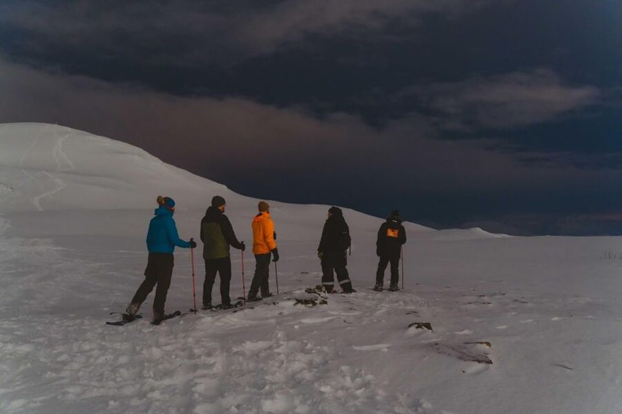 From Tromsø: Evening Fjellheisen Snowshoe Hike and Cable Car - Key points to know before you go