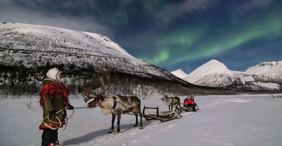 From Tromsø: Evening Reindeer Sledding at Camp Tamok - Key Things I’d Prioritize for This Tour