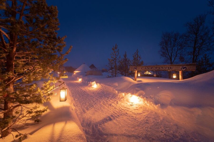 From Tromsø: Evening Reindeer Sledding at Camp Tamok - How the Timing Feels: 7 Hours, with Real Break Points