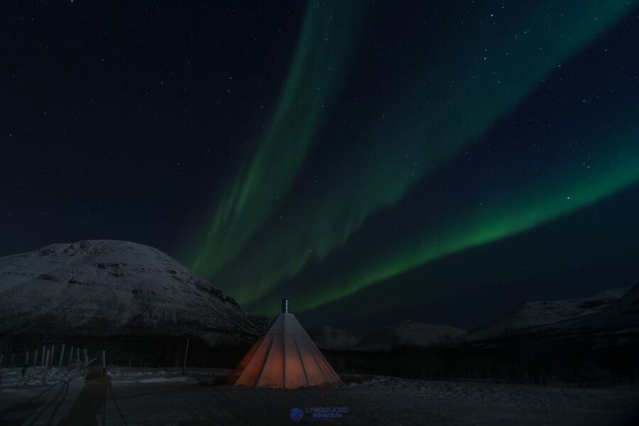 From Tromsø: Evening Reindeer Sledding at Camp Tamok - Who Should Book, and Who Might Skip It