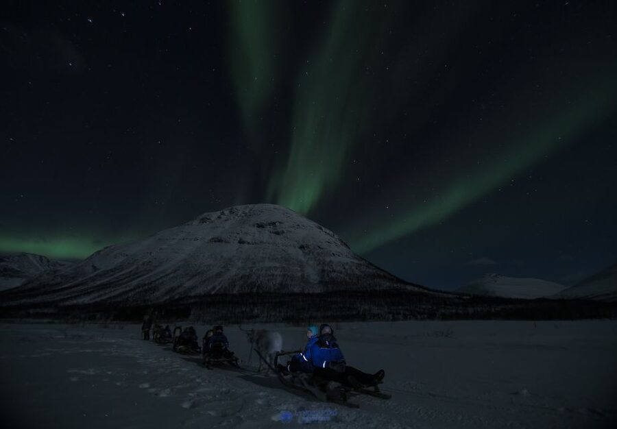 From Tromsø: Evening Reindeer Sledding at Camp Tamok - Camp Tamok at Night: Lavvu Warmth and a Real Meal