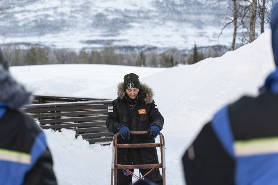 From Tromsø: Fun and Easy Dog Sledding Adventure - Key things to know before you go