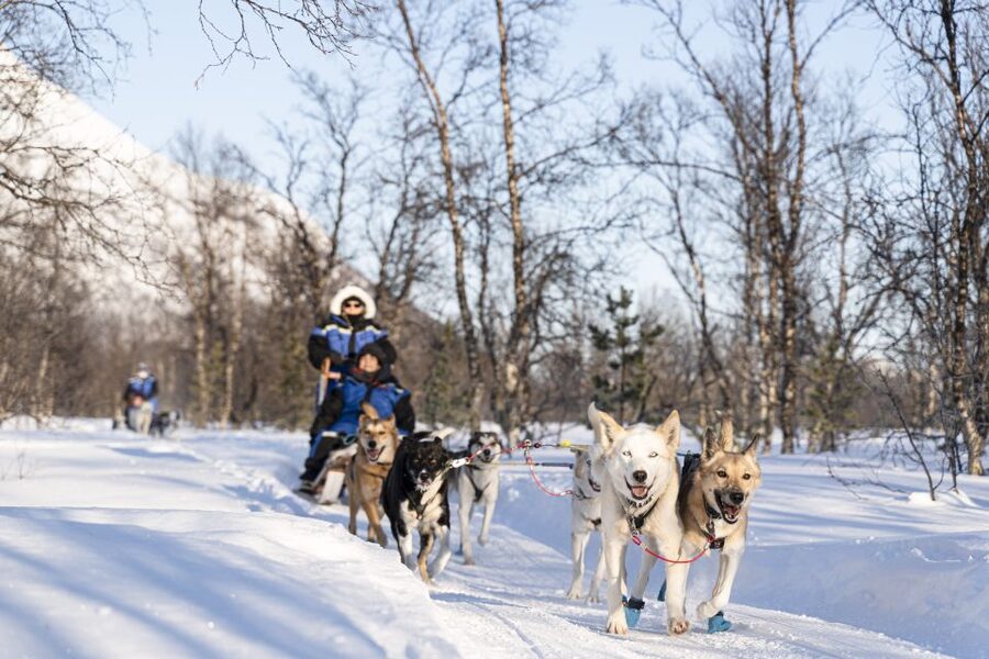 From Tromsø: Fun and Easy Dog Sledding Adventure - Camp life in Breivikeidet: warm lavvu tea and a calmer kind of Arctic
