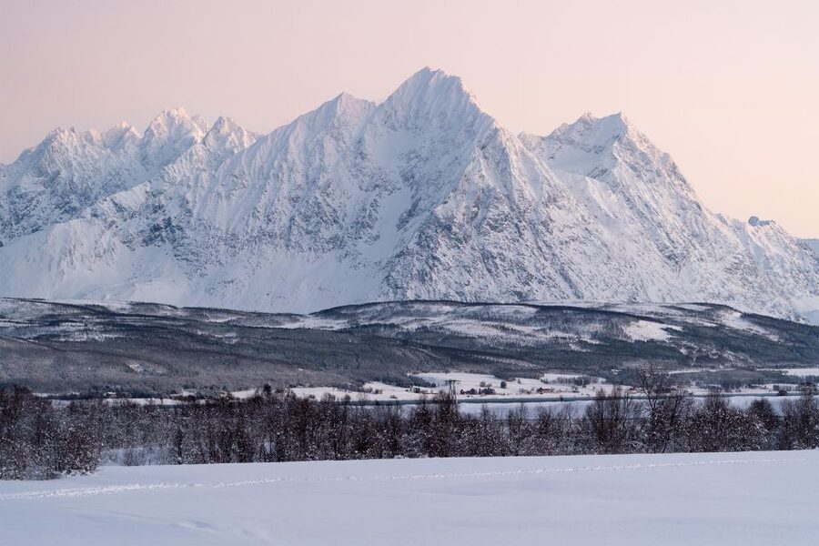 From Tromsø: Fun and Easy Dog Sledding Adventure - Tips to make the day smoother (and keep the dogs happy)