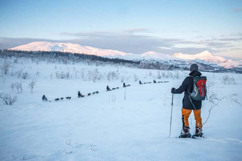 From Tromsø: Guided Husky Snowshoe Hike and Husky Camp Visit - From Radisson Blu in Tromsø to Innlandet County: the day starts with a real plan