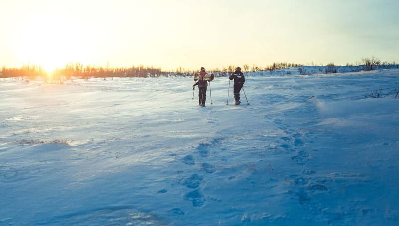 From Tromsø: Guided Husky Snowshoe Hike and Husky Camp Visit - How the route is chosen: weather decides, your guide keeps you on track