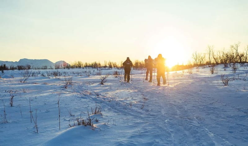 From Tromsø: Guided Husky Snowshoe Hike and Husky Camp Visit - The food moment that keeps showing up: hot drinks and homemade chocolate cake