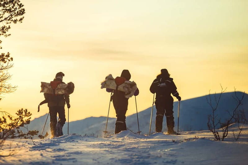 From Tromsø: Guided Husky Snowshoe Hike and Husky Camp Visit - The best parts of the hike: swapping turns and walking close enough to feel it