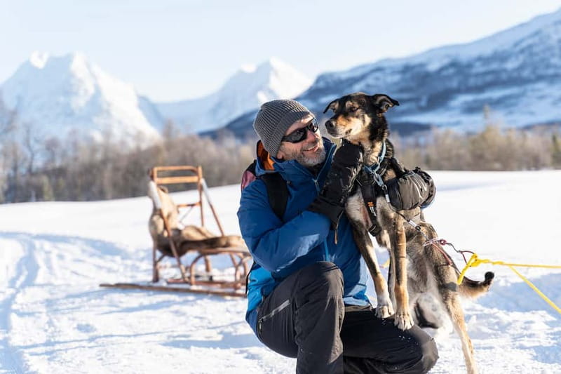 From Tromsø: Husky Experience with Self-Drive Dog Sled Ride - Tromsø to Breivikeidet: the bus ride and why you should dress early