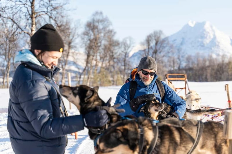 From Tromsø: Husky Experience with Self-Drive Dog Sled Ride - The self-drive sled run: slow mushing, a photo stop, and a driver swap
