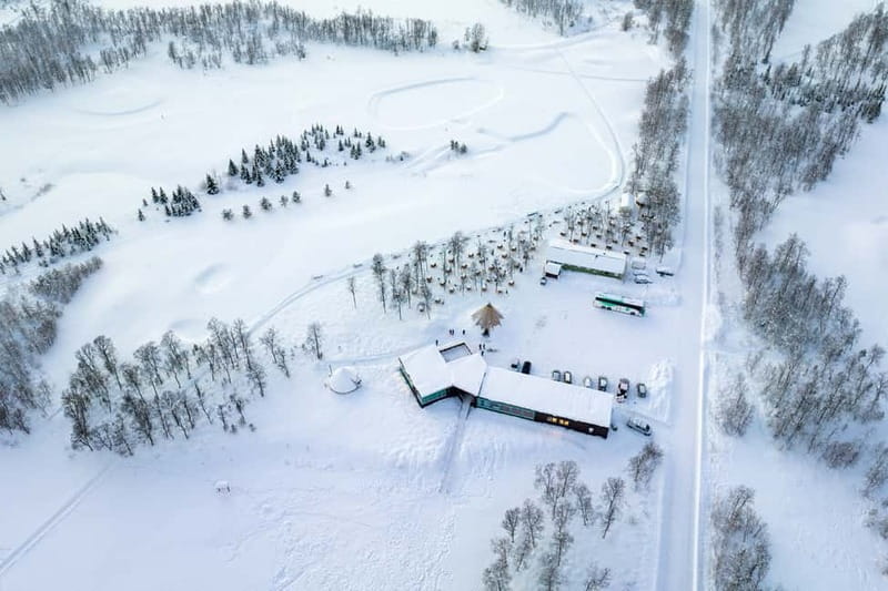 From Tromsø: Husky Experience with Self-Drive Dog Sled Ride - Warm gear and cold math: what you really need for the snow