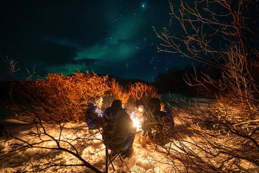 From Tromsø: Northern Lights Chase - How to maximize your chances without chasing your own patience