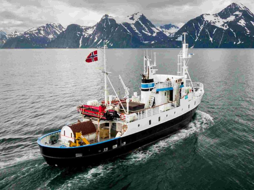 From Tromsø: Northern Lights Cruise on a Cozy Vintage Vessel - Why MS Strønstad Feels Different Than Typical Northern Lights Trips