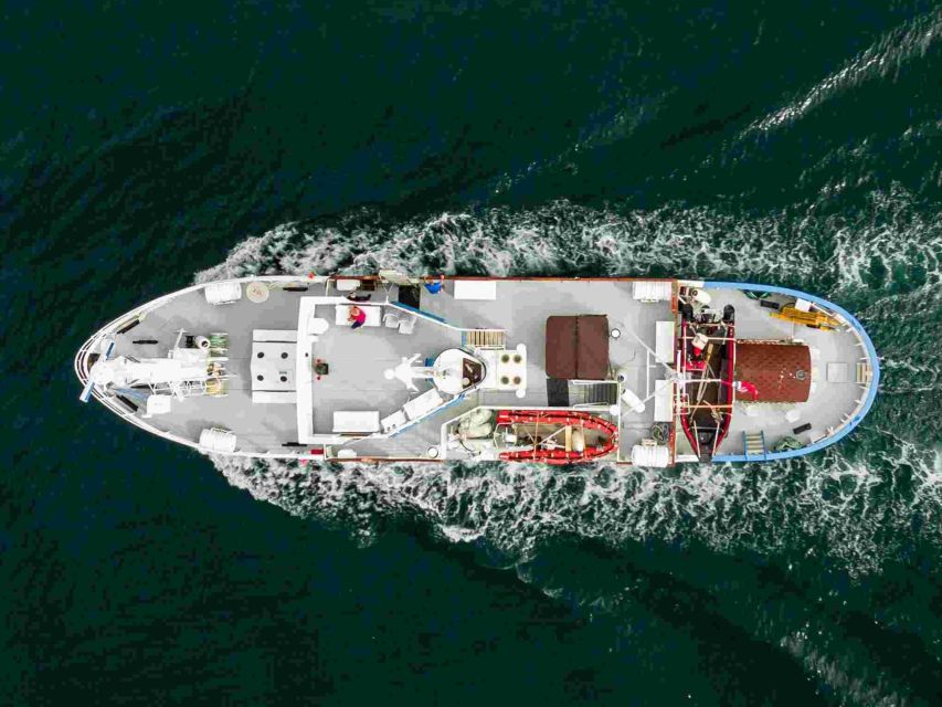 From Tromsø: Northern Lights Cruise on a Cozy Vintage Vessel - The 4-Hour Cruise Rhythm: Photo Stops, Safety, and Constant Sky Monitoring