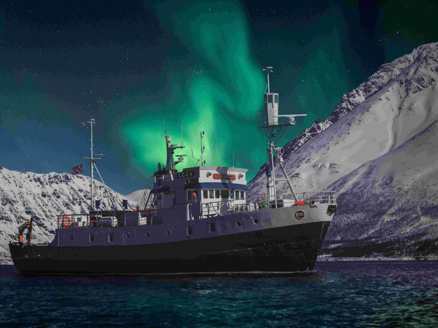 From Tromsø: Northern Lights Cruise on a Cozy Vintage Vessel - The Full Steam Museum Start at 19:00: Science, Culture, and Better Odds