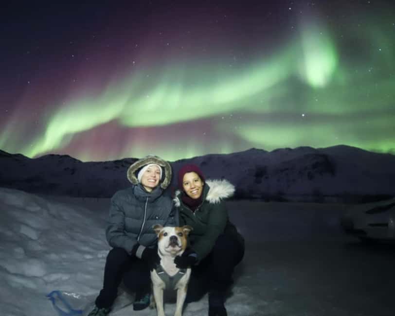 From Tromso: Northern Lights Photography Tour - The opening flow: safety briefing, van time, and first viewpoint hunting