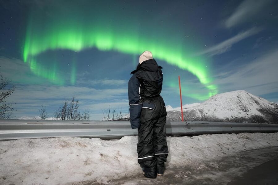 From Tromsø: Northern Lights Tour in Minibus with Photos - The 7-hour rhythm: how the aurora chase unfolds