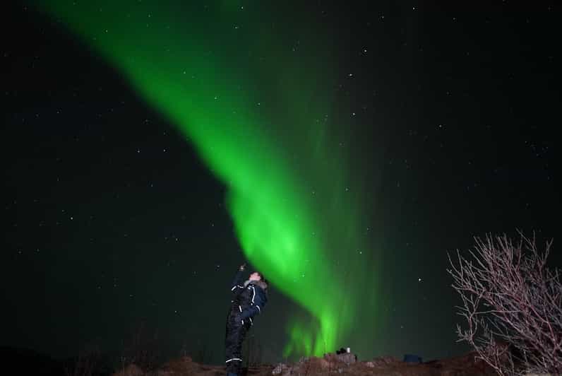 From Tromsø: Northern Lights Tour with Hot Drinks and Photos - Key Highlights You Will Care About
