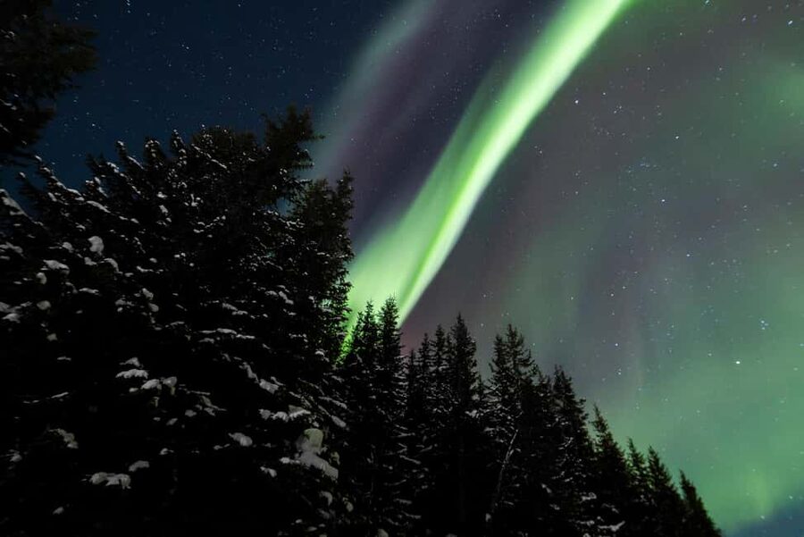 From Tromsø: Northern Lights Visit at Camp Tamok - Small group size, English guide, and what to expect from the night team