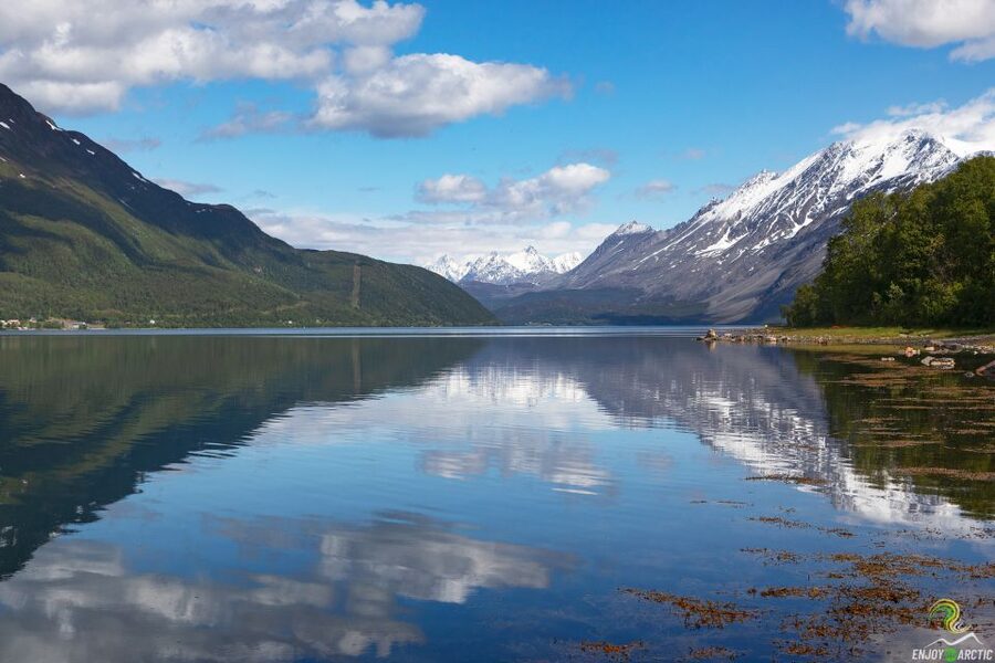 From Tromso: Norwegian Fjords Half-Day Tour - Key highlights you will actually care about