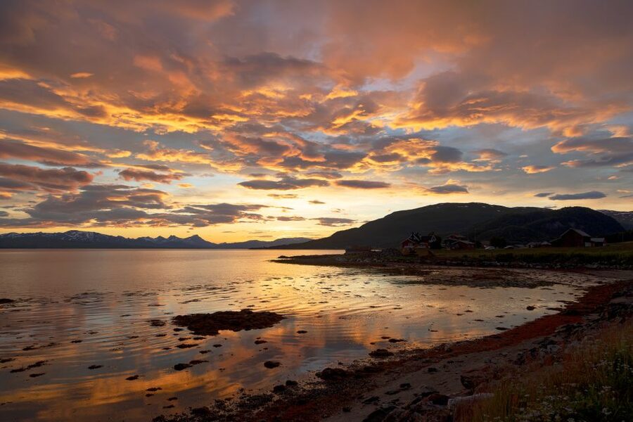 From Tromso: Norwegian Fjords Half-Day Tour - Kvaløya fjords on a weather-driven route from Tromsø