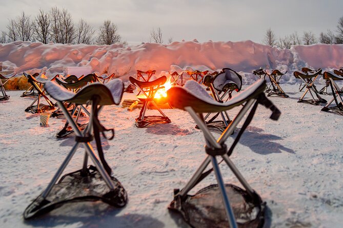 From Tromsø: Official Northern lights Safari - Guides who guide you, and the photo help that makes a difference