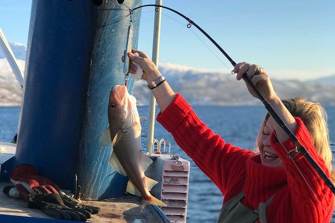 From Tromsø: Polar Fishing Adventure - Fishing spots and the “local pirates” storytelling