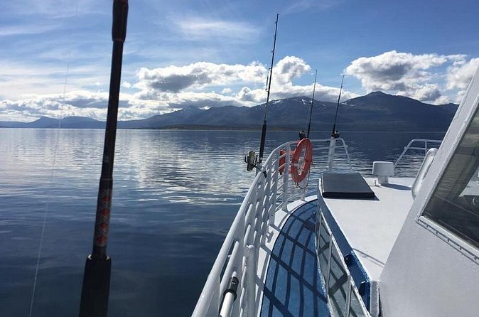 From Tromsø: Polar Fishing Adventure - Snacks, drinks, and comfort on cold-water days
