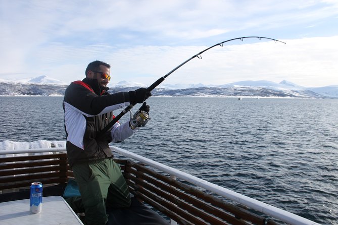 From Tromso: Polar Fishing Adventure - Price and value: what $136 covers, and why it can feel fair