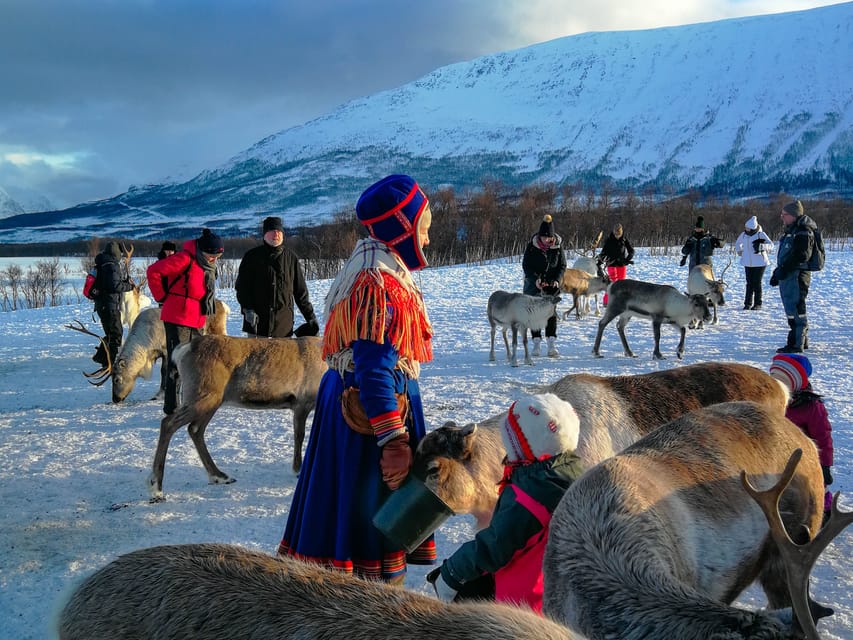 From Tromsø: Reindeer Feeding and Sami Experience with Lunch - Who This Experience Fits Best (And Who Should Skip It)