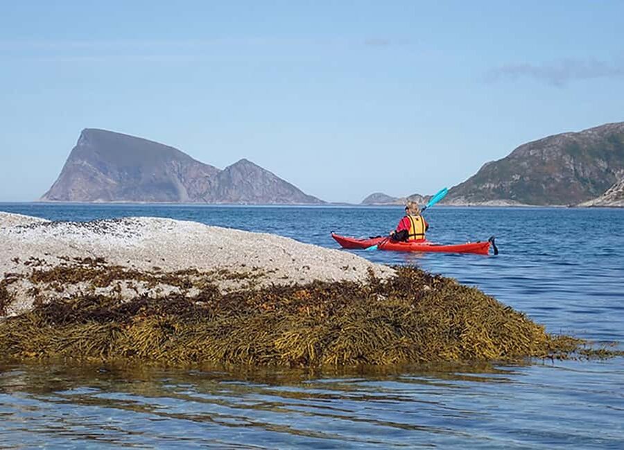 From Tromsø: Sea Kayaking Tour at Sommarøy - Paddling levels: stable double kayaks, plus a chance to request singles