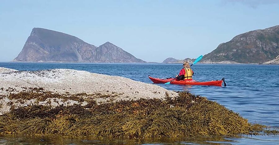 From Tromsø: Sea Kayaking Tour at Sommarøy - Who this tour fits best, and who should skip it