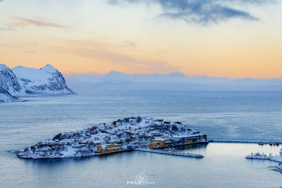 From Tromsø: Senja Discovery Arctic Day Trip with Lunch - Key reasons this Senja and Kvaløya day trip works