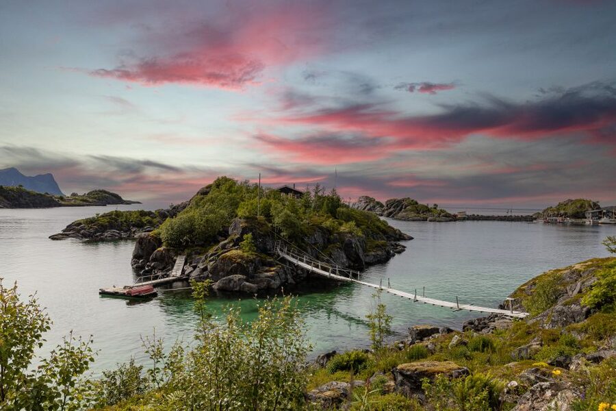 From Tromsø: Senja Discovery Arctic Day Trip with Lunch - Wildlife odds: how to maximize reindeer, seabirds, otters, and sea eagles