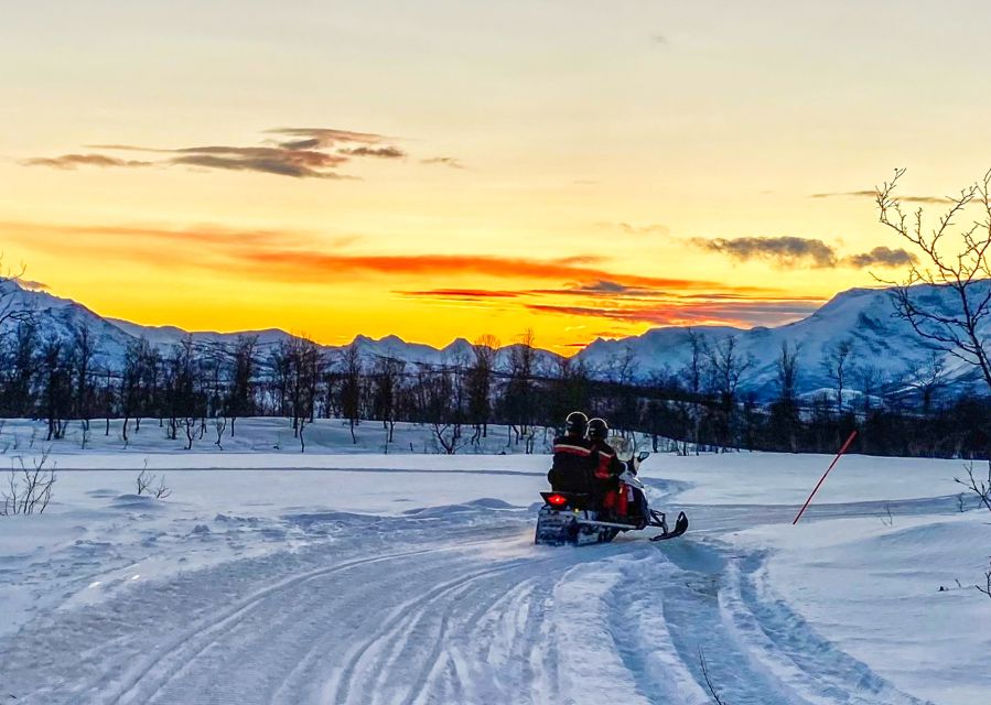 From Tromsø: Snowmobile Safari in the Lyngen Alps - Key Points to Know Before You Go