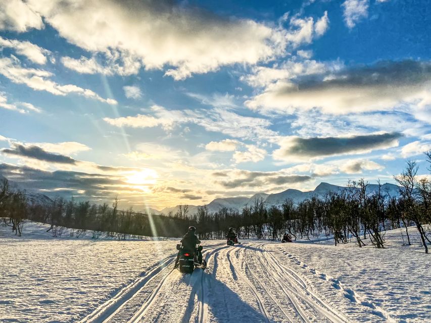 From Tromsø: Snowmobile Safari in the Lyngen Alps - Price and Value: What $272 Buys in an Arctic Day