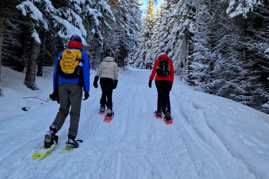 From Tromsø: Snowshoe Hike in the Arctic - Tromsø snowshoeing, the simple way to see real Arctic country