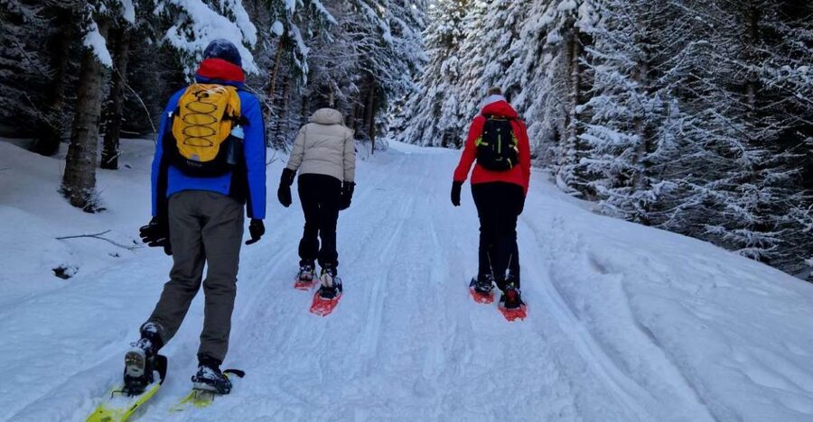 From Tromsø: Snowshoe Hike in the Arctic - Meeting at Clarion Hotel The Edge, then rolling out in a black Mercedes