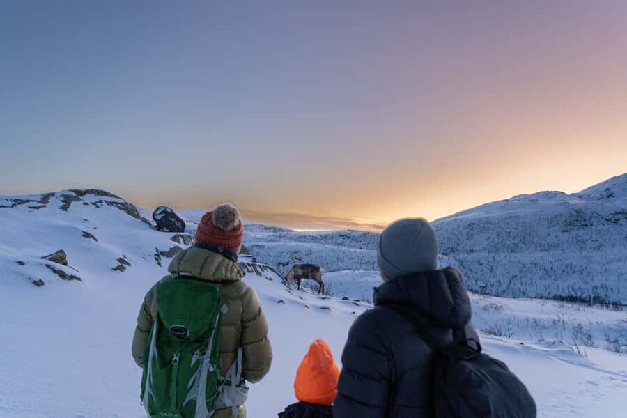 From Tromsø: Snowshoe Hike with Local Guides - Snowshoe coaching that keeps your pace comfortable