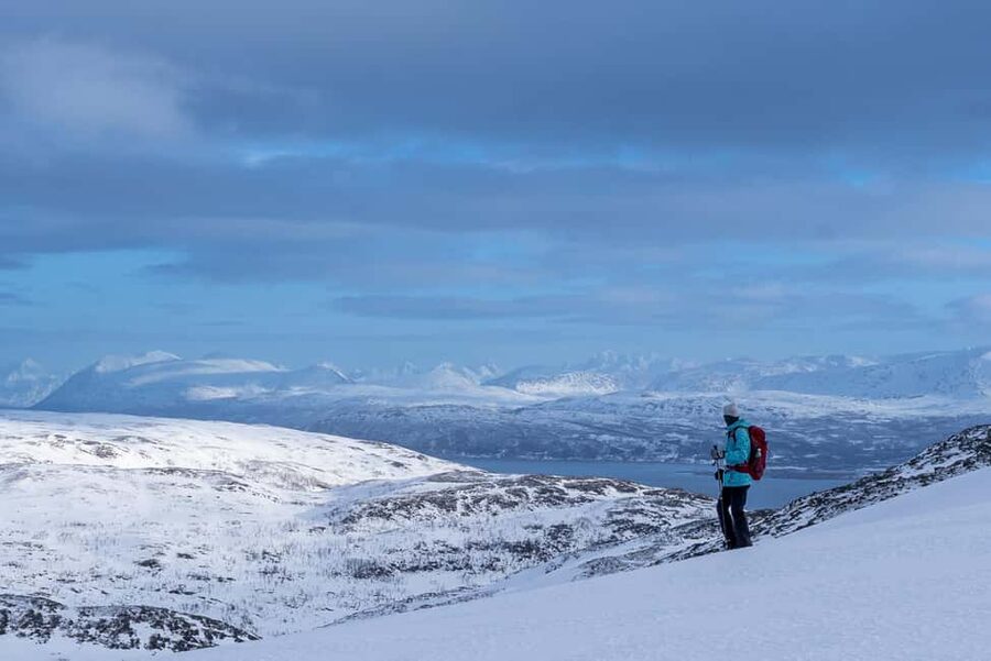 From Tromsø: Snowshoe Hike with Local Guides - Price and what makes it good value for $152