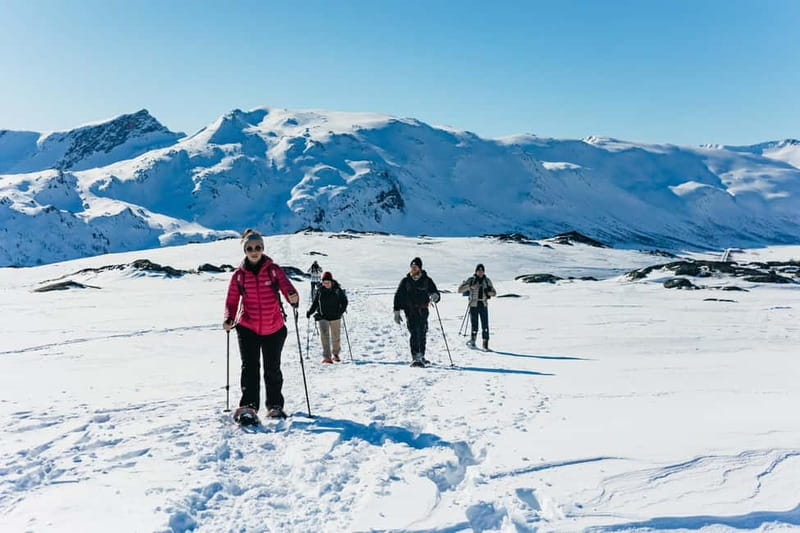 From Tromsø: Snowshoeing Hike with Picnic Lunch and Photos - Snowshoeing the small mountain: views, effort, and wildlife chances