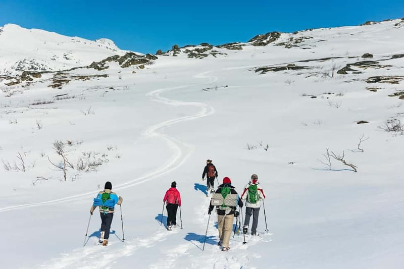 From Tromsø: Snowshoeing Hike with Picnic Lunch and Photos - Gear and clothing: what is provided, what is not, and how to prepare