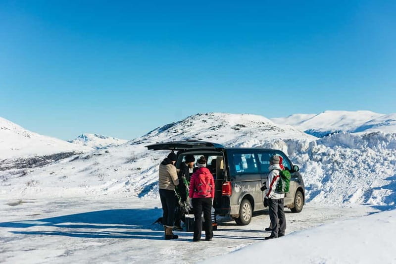 From Tromsø: Snowshoeing Hike with Picnic Lunch and Photos - Photos after the hike: the underrated value add
