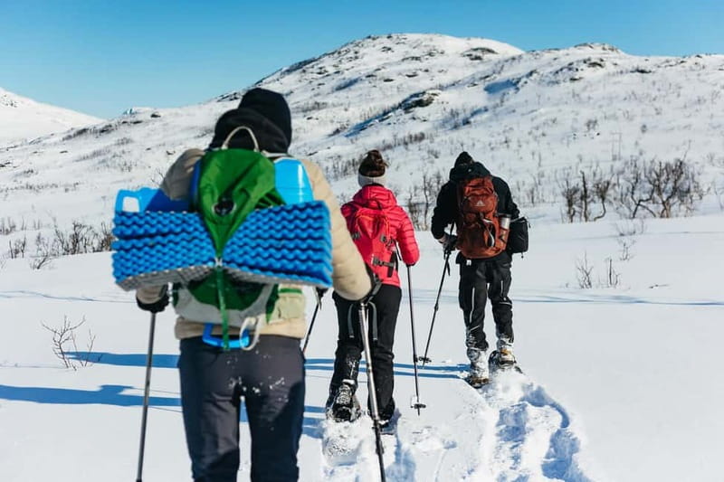 From Tromsø: Snowshoeing Hike with Picnic Lunch and Photos - Price in context: is $141 per person worth it?