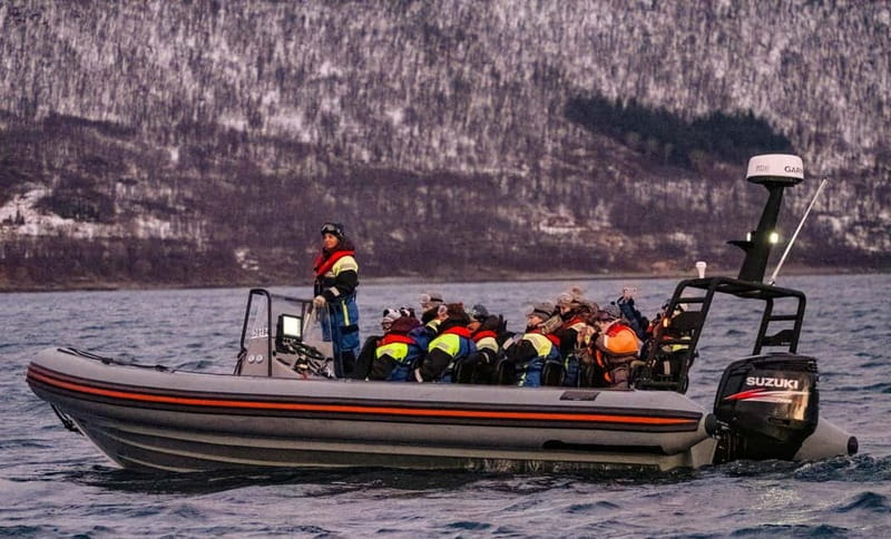 From Tromso: Whale Watching in Magic Skjervoy - Price and value, what you’re paying for and what you should compare