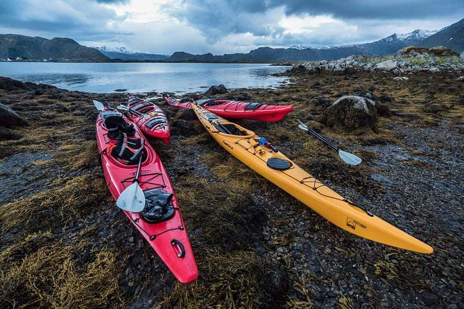 Full Day Combo Kayak and Rappel - Northern Explorer - Price and Value: What You Actually Get for Your Money