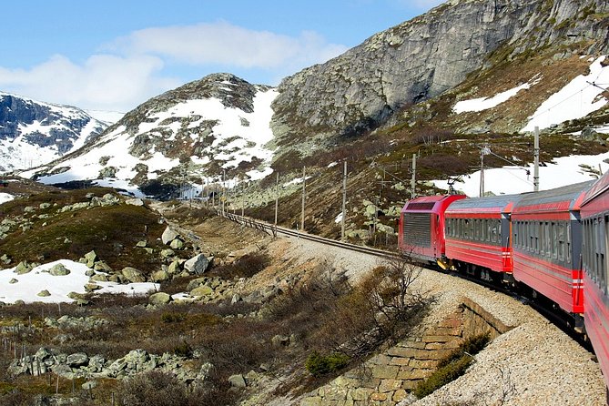 Full Day Guided Roundtrip From Bergen To Sognefjord With Flam Railway - Guides make the difference: Federico, Emma, Sveta, Anika