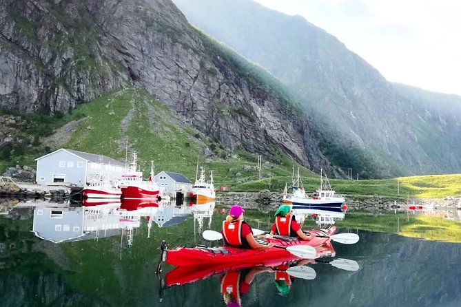Full Day Kayak-Northern Explorer - Wildlife and Scenery Views: Why This Vantage Point Actually Changes the Day