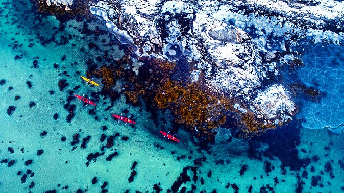 Full Day Kayak-Northern Explorer - Lunch on a Secluded Island: The Break Your Arms Will Thank You For